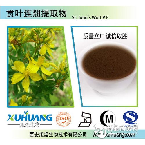诚信商家 品质保证 —— 西安旭煌生物贯叶连翘提取物批发价格解析