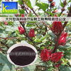 大兴安岭科丽尔生物 绿色植物提取物的创新先锋与批发资讯