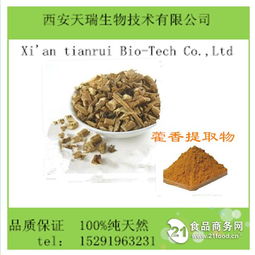 西安藿香提取物招商 植物提取物领域的绿色新机遇