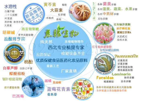红车轴草提取物 8% 陕西植物提取物的优质选择